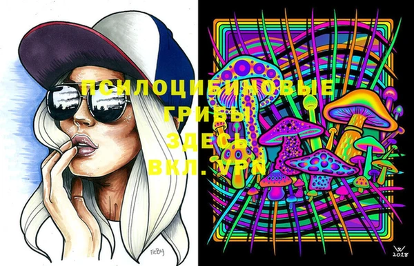 spice Балахна